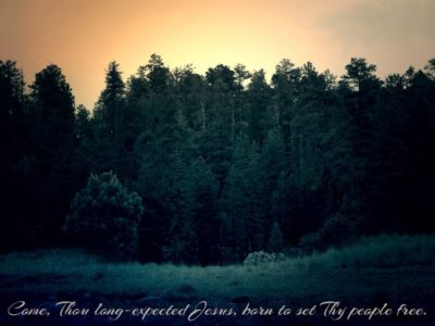 Come Thou Long-Expected Jesus